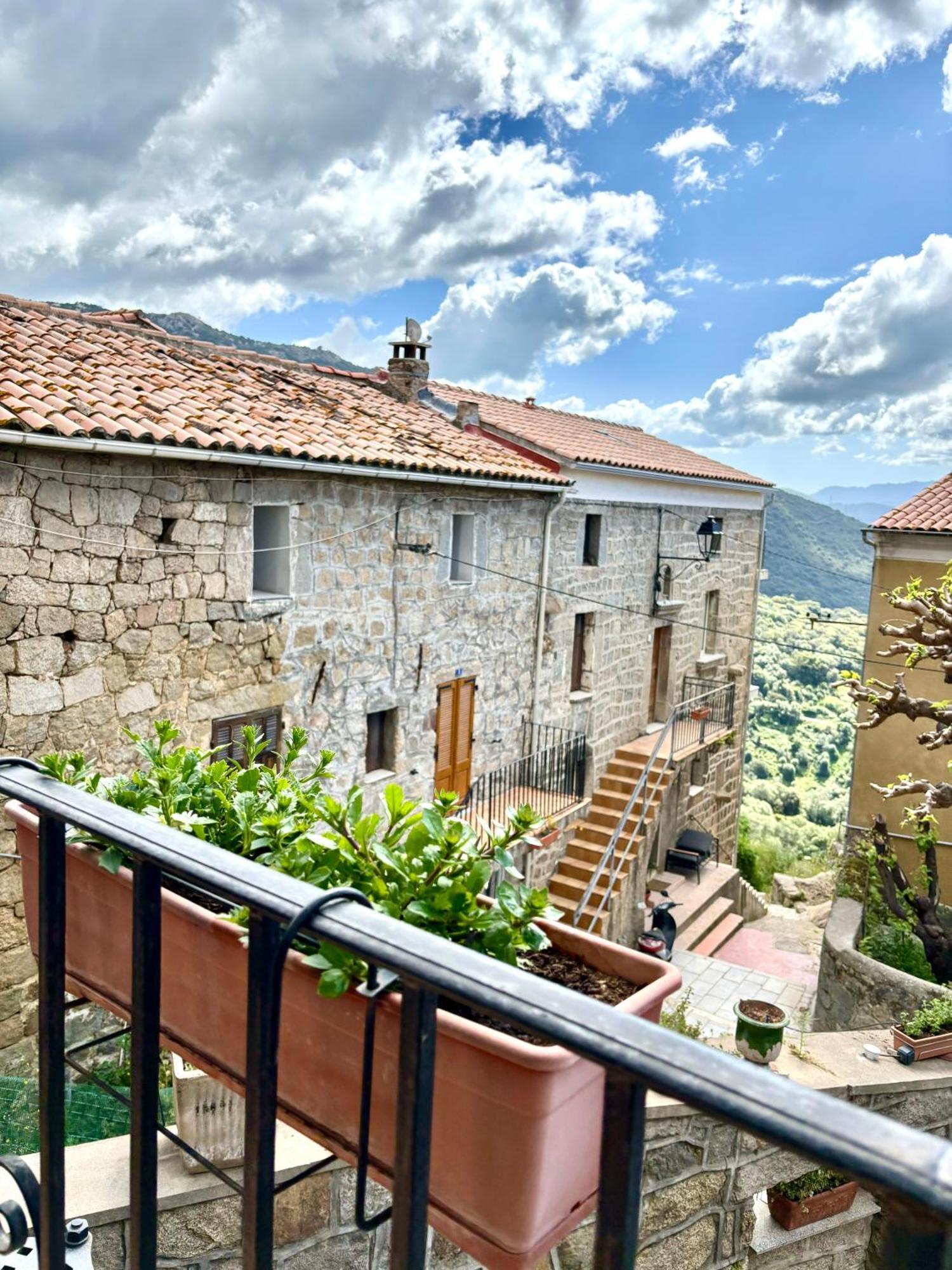 Hoetel U Santa Maria Olmeto  Rom bilde