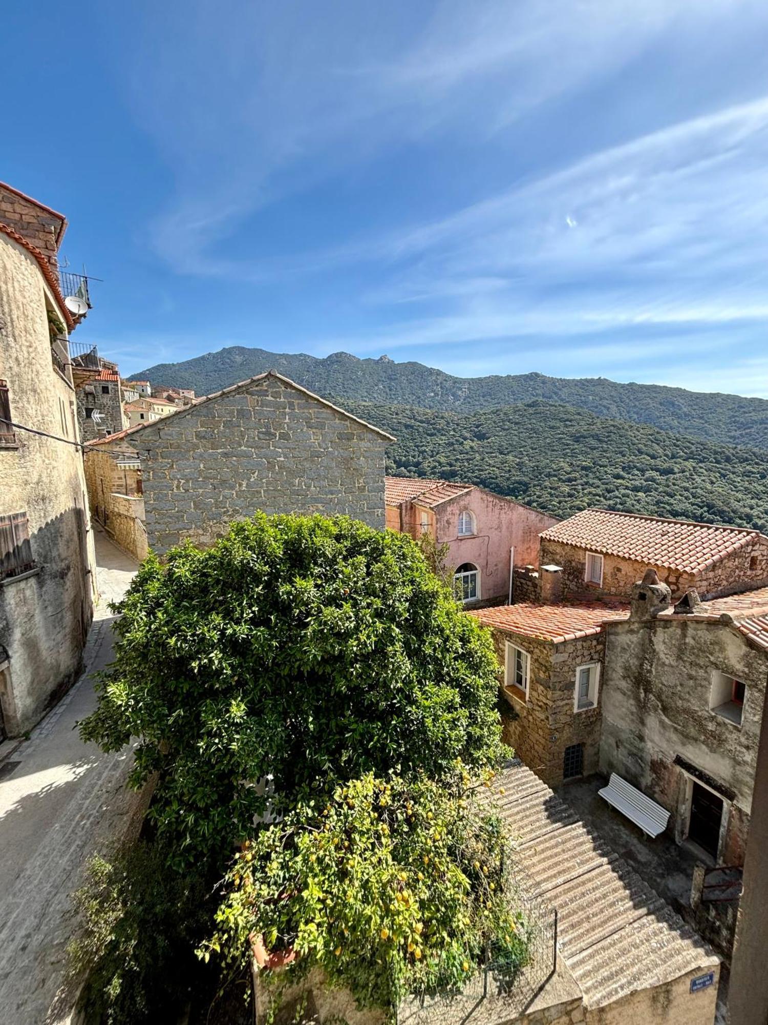 Hoetel U Santa Maria Olmeto  Rom bilde